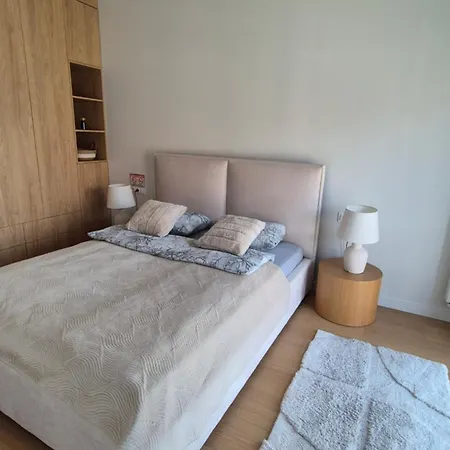 Luxurious Cinnamon Apartment, Self Check-in 24h, Parking, Air-conditioning * ポズナン