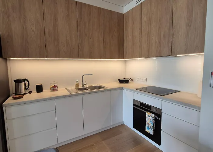 Luxurious Cinnamon Apartment, Self Check-in 24h, Free Parking, Air-conditioning Poznań